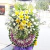 Đã rời xa HTL039