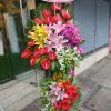 Vững tiến tương lai H110
