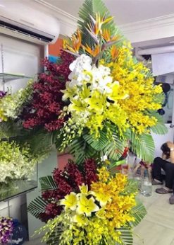 Tiền tới F534