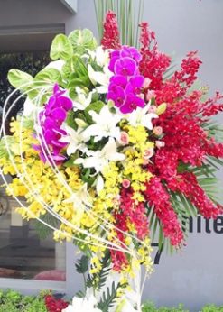 Thành đạt F541