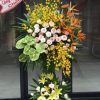 Khai trương đại phát H341