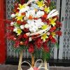 Vững bước H346