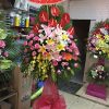 Tương lai rực rỡ 1 F891