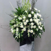 Tiễn đưa H263
