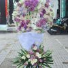 Ngàn thu an nghỉ H278
