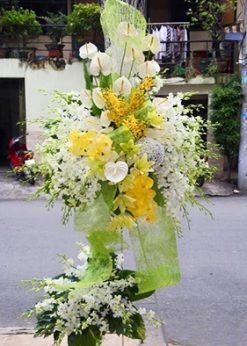 Lời tạ từ F546