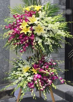 Hai thế giới F575
