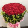 Yêu thương nồng nàn F158