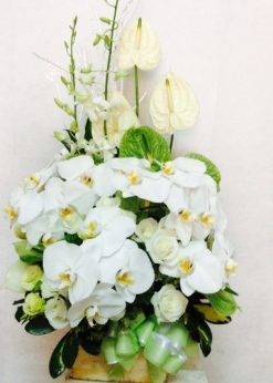 Bó hoa cao cấp MS F149