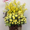 Hoa sinh nhật tặng nam giới F895