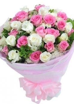 Nụ hồng e ấp - SN001