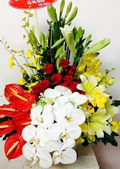 Hoa sinh nhật tặng vợ MS S349