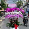 Lan hồ điệp cao cấp