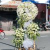Vô Ưu Vĩnh Cửu