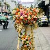 Vươn lên thành công