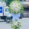 Vĩnh hằng trắng thanh khiết